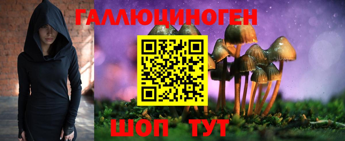 Галлюциногенные грибы Psilocybe Ульяновск